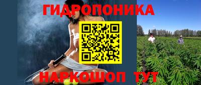 МДМА Можга