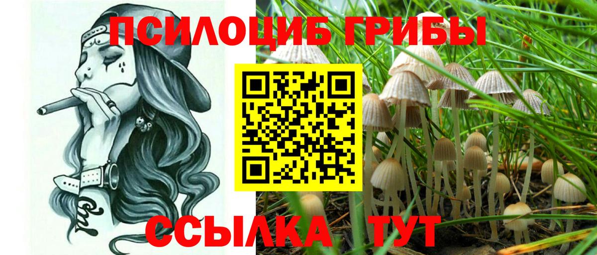 Псилоцибиновые грибы Magic Shrooms  где купить   Сланцы  Вход с VPN 
