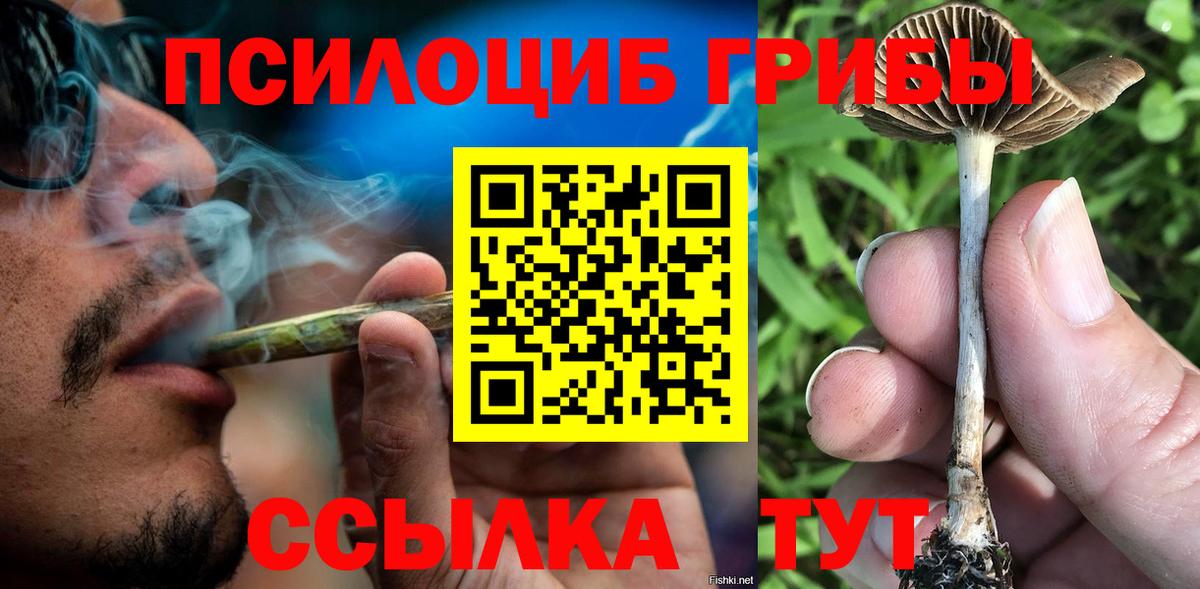 Псилоцибиновые грибы Psilocybine cubensis Сланцы